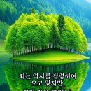 화동경로당 Daum카페