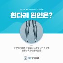 휘게;망원