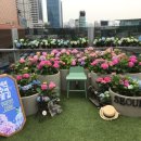 서울로7017 국민일보