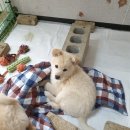 엘&엠 이미지