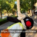 쥬쥬오락실 이미지