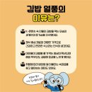 김밥월드 이미지