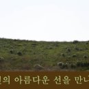 선을만나다 티스토리