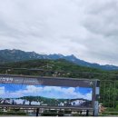 26년7월3일(금) 10시30분 백련산 초록숲길 이미지