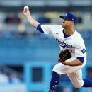 미국프로야구(MLB) 2024 포스트시즌 현재까지의 전적 이미지