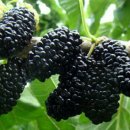 세탁하는날 이미지