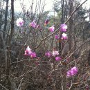 주산목욕탕 이미지