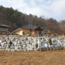 강산조경