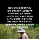 상옥프로폴리스 이미지