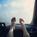 은미목장 이미지