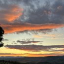 낯가림 민박 이미지