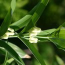 전원 어린이집 이미지