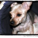 청우약국 이미지