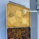 별하람 태권도장 이미지