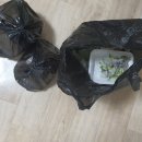 백년송어&활어수산