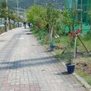 미가로골프연습장 이미지