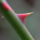 생활영어(실용) 이미지