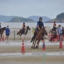 태백승마클럽 이미지