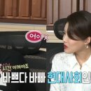 원헬스 동물의료센터 이미지