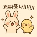 머리 깍까요 | 요즘 머하는지