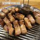 유채꽃도세기