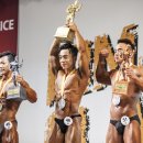 노비스 PT 이미지