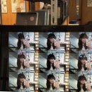 야옹아 멍멍 해바 이미지