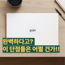 (주)원그램 | 15ZD90T-GX56K 15인치 LG 그램 후기 단점까지 알려드리는 완전분석