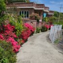 소답동134 이미지