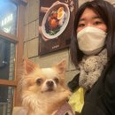 문스펫 | 펫프렌들리 카레맛집 소코아 운정점 #파주애견동반식당