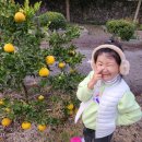 샛별목장 이미지