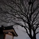 논산 부인당제 네이버블로그