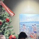 까멜리아 - 통영시 | 까멜리아
