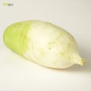 주식회사 알토란