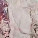 신화축산 이미지