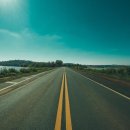 세이브 동물병원 이미지