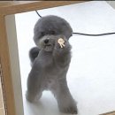 도미노피자수유점 | 조리원 후기 : 5일차 / 제왕절개8일차 증상 / 모유수유?직수?통잠?🍼어렵다 어려워/베베포레스트산후조리원