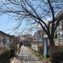 석전근린공원 이미지