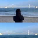 돼지수산 이미지