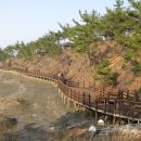 별주부전테마파크 이미지