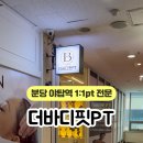 분당피티 티바디 이미지