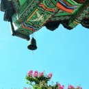 만연사 | 만연사의 여름 1