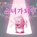 요가(3군수지원여단_여단) | 241004 [응원 콘서트 파워+Power] &#39;제3군수지원여단&#39; 인제하늘내린센터