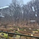 소바애 | 🍜 소바애 — 온소바·메밀샐러드·돼지보쌈 후기