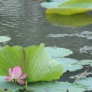 흥복 | 곡성 환경루(環鏡樓)