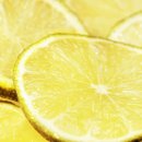 레몬의 꿈 이미지