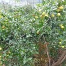 길원농장 이미지