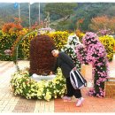 거창군 장애인공동생활가정 사랑의공동체쉼터 가족들 신원국화꽃축제 놀러갔어요.!!-3탄 이미지