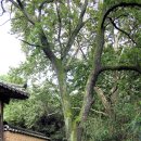 의령 운곡재 이미지