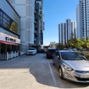 노블구제 이미지